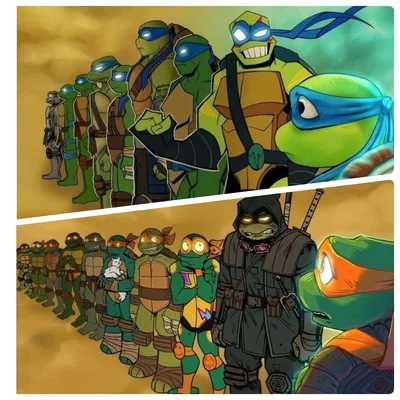 As tartarugas ninja