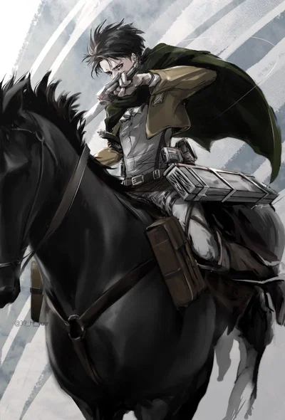 Levi Ackerman - m.i.a.