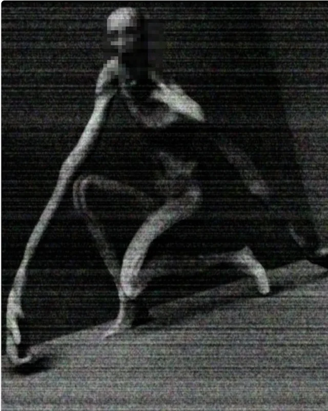 Survive Canon SCP-096