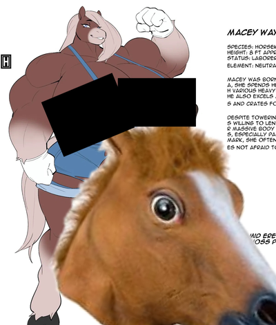Macey Wayfields (thehelmetguy) (request)