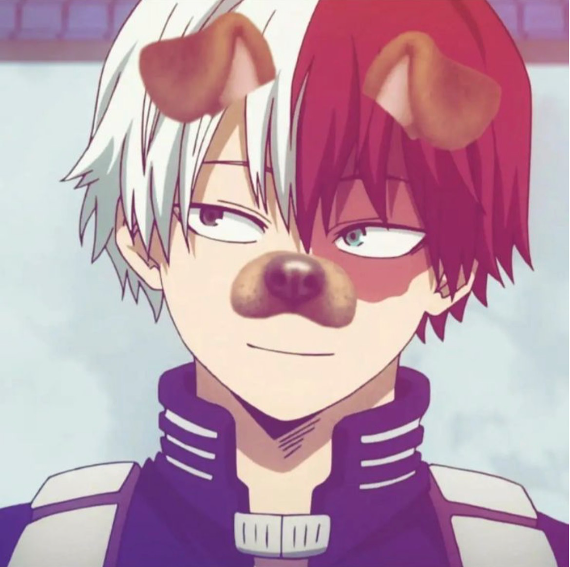 ꒥꒷ Shoto Todoroki ‧+ ̊