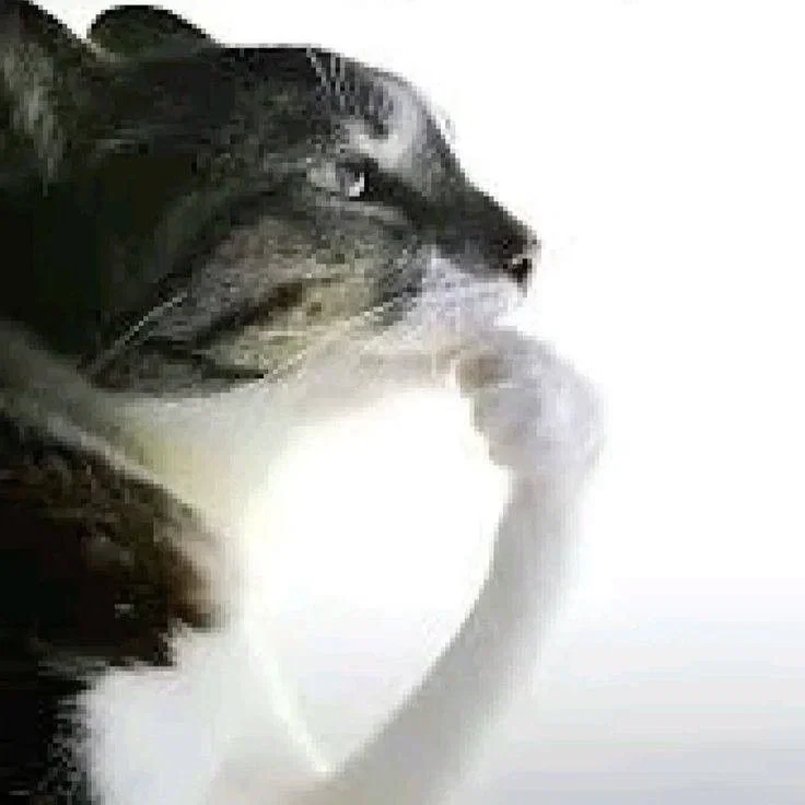 Request bot