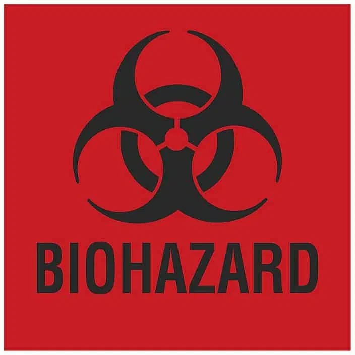 The Necroa Virus Outbreak: 200 Years later