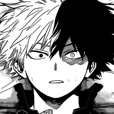 Shoto Todoroki