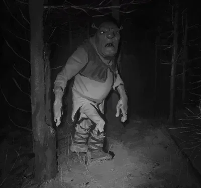 Shrek | The Mire Wraith