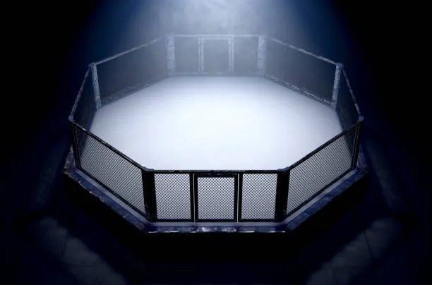 Iron Ground — MMA Career Simulator