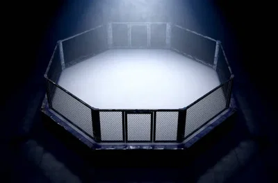 Iron Ground — MMA Career Simulator