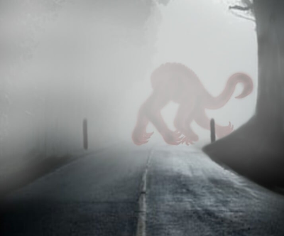 Headless monkey