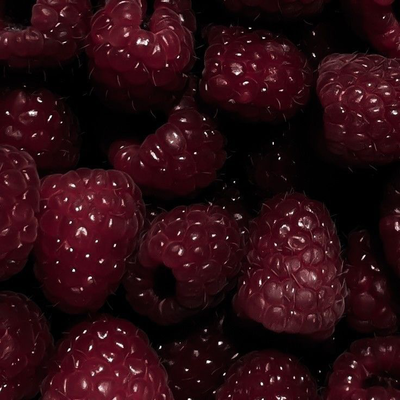 Boysenberry Cookie — Cookie Run: Kingdom (OC)