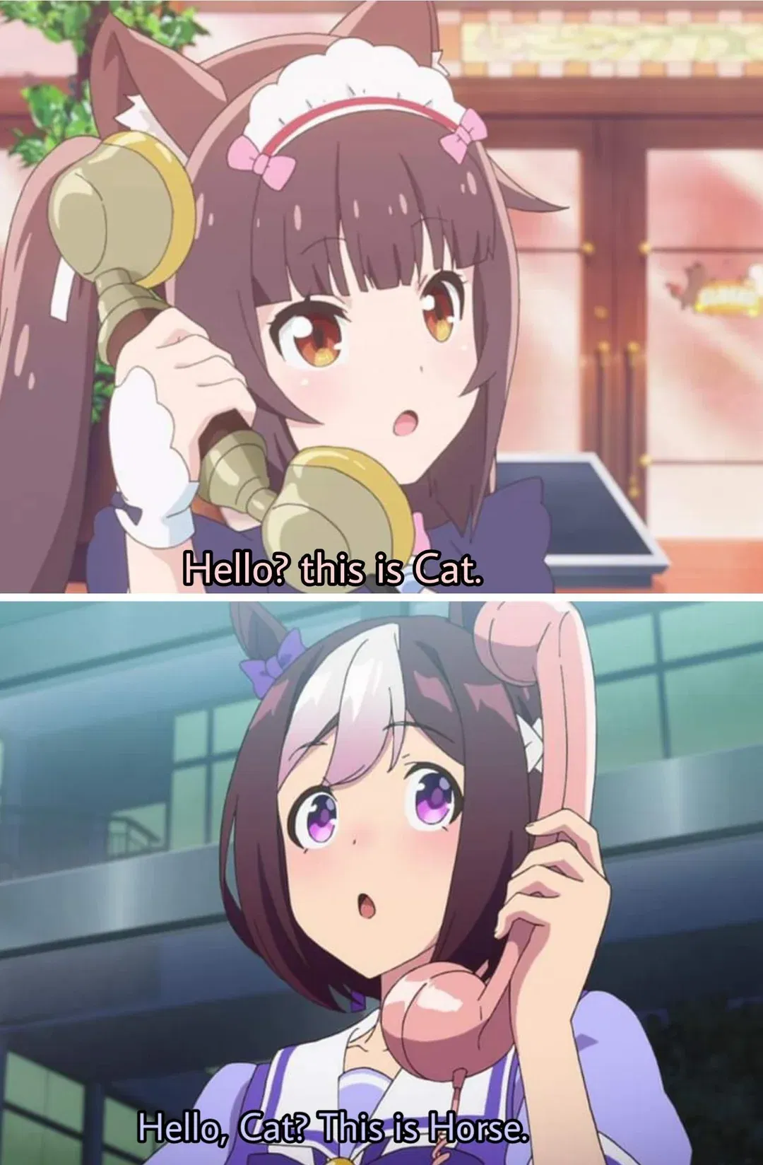 UmaMusume ✖ NekoPara