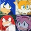 Sonic household