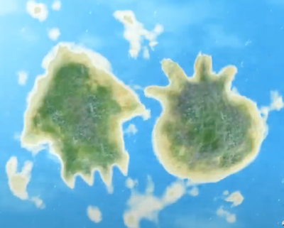 Splatoon Island
