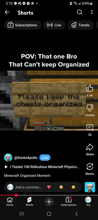 Keep his chest organized (minecraft)