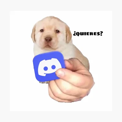 🎉 Our Discord Server Is Now Open! 🎉