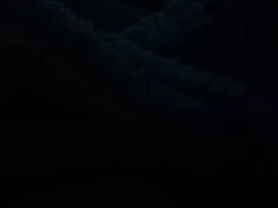 IM FUCKING BACK!!!!!
