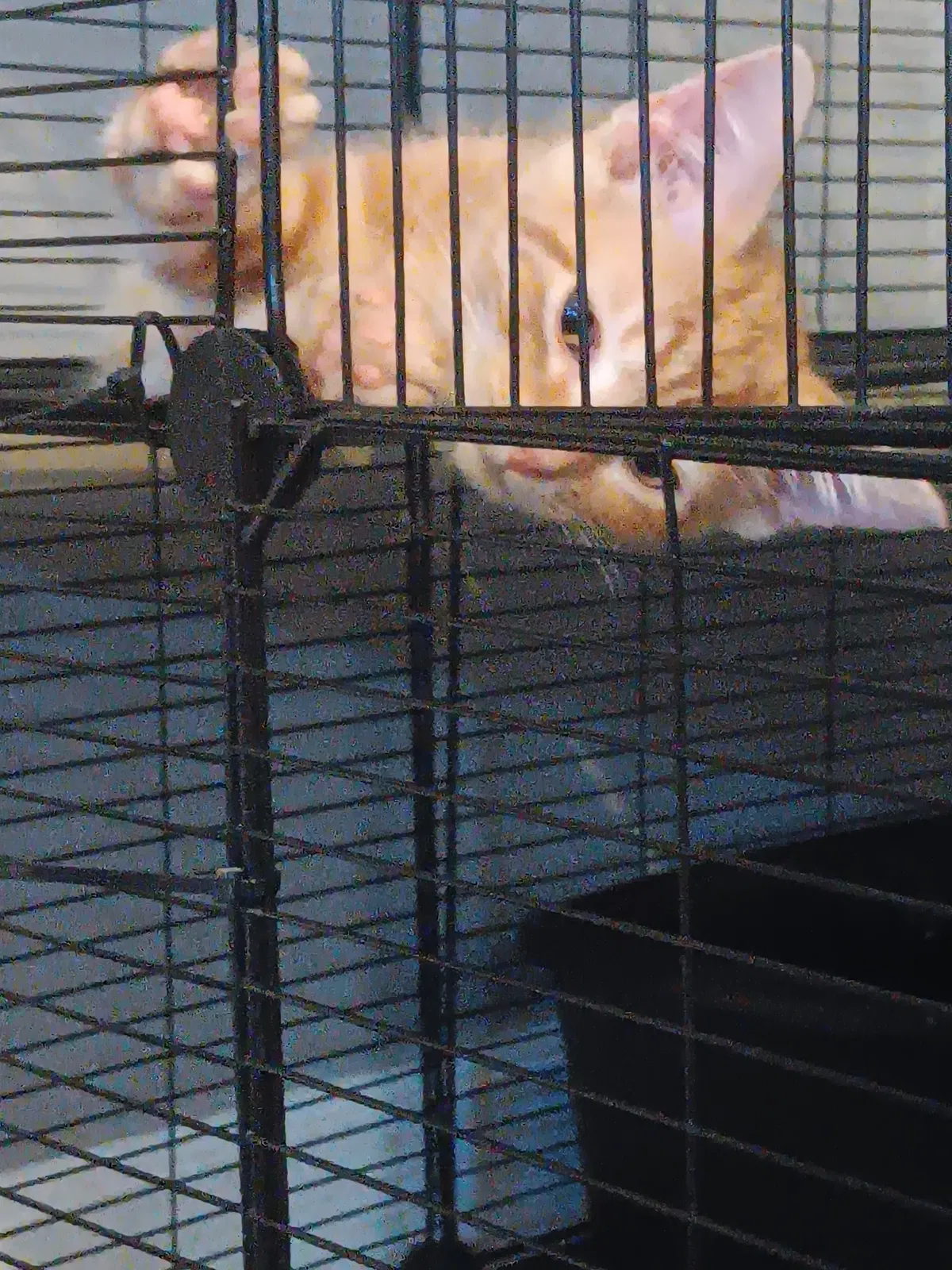 Uh.. Hi! 