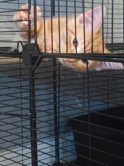 Uh.. Hi! 