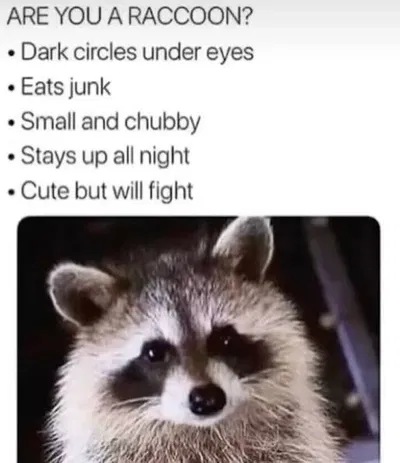 Suggestion bot