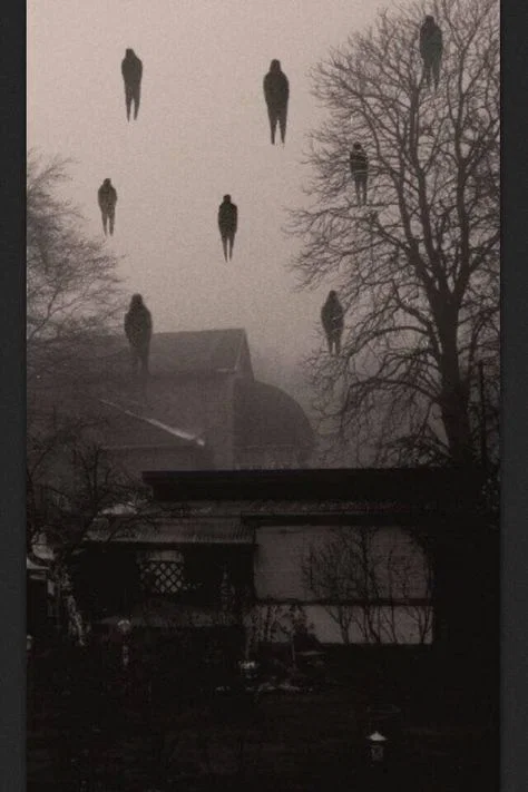 The Mist: “You seein’ this crap? Tell me I’m not losing it.”