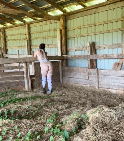 Bountiful 6:   farm