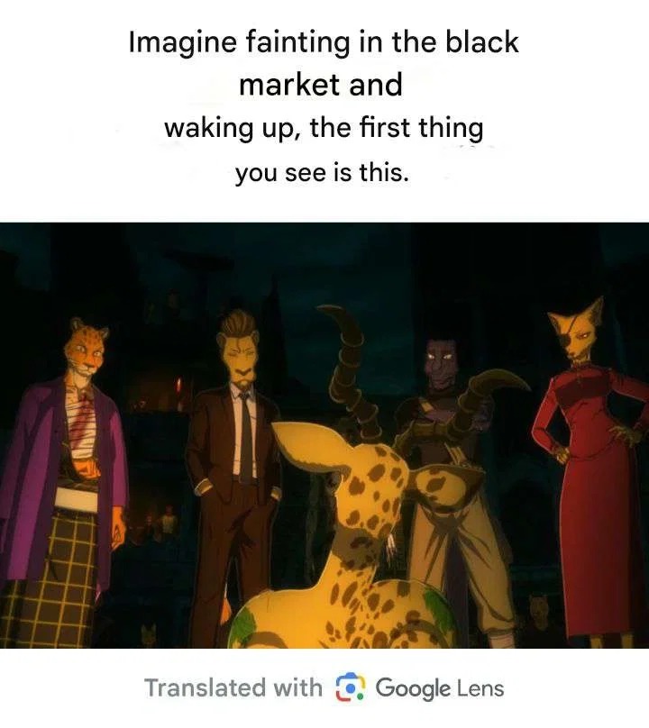 The Black Market Rave - Beastars