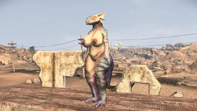 Gecko