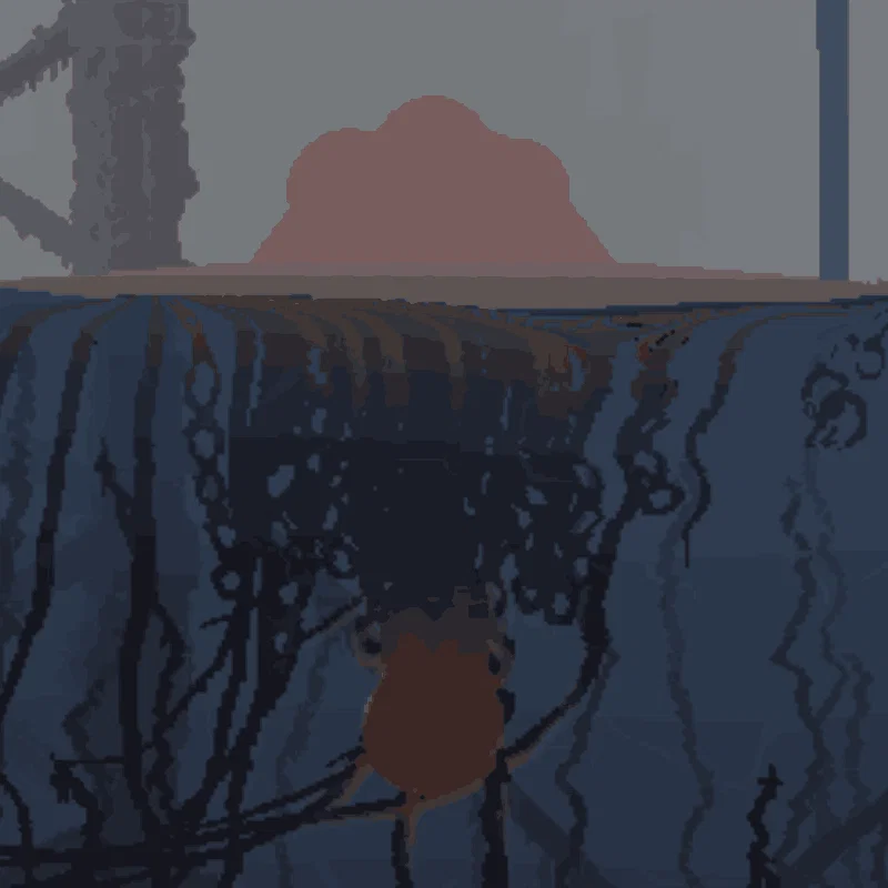 Jellyfish
