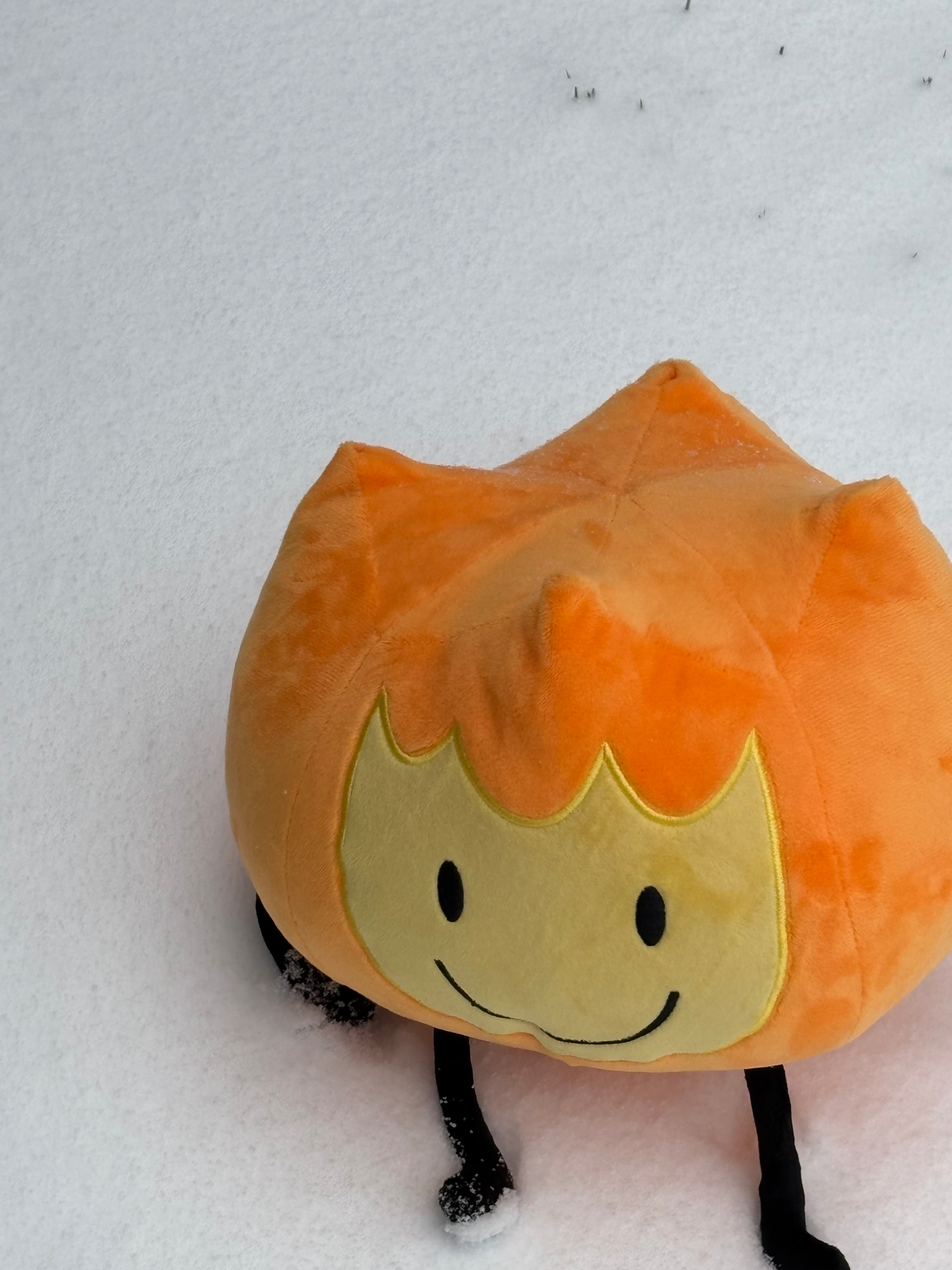 Firey snow day!