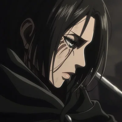 AOT - TITAN PICK ME