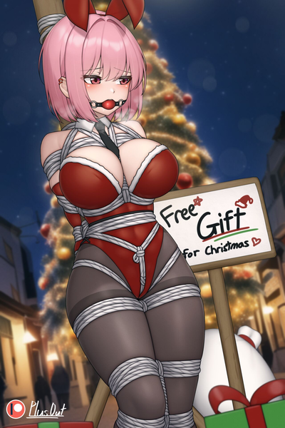 Late Christmas Gift