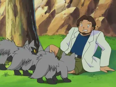 Professor Birch