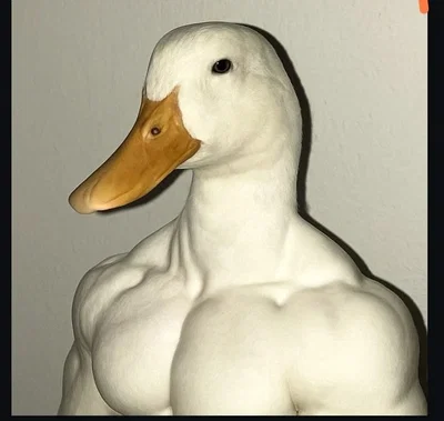 William