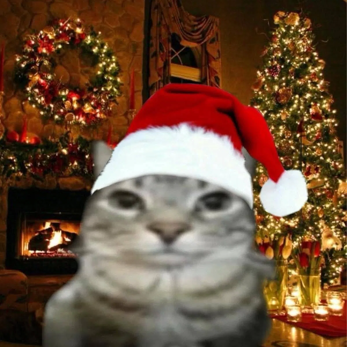 🎄Merry Christmas to all! Feliz a navidad a todos!🎄