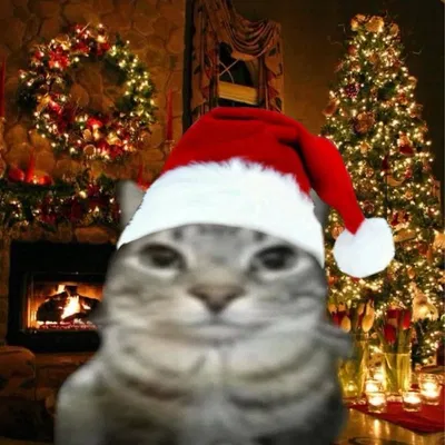 🎄Merry Christmas to all! Feliz a navidad a todos!🎄