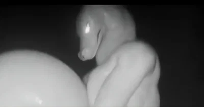 ♡~Legend of the mother snake~♡