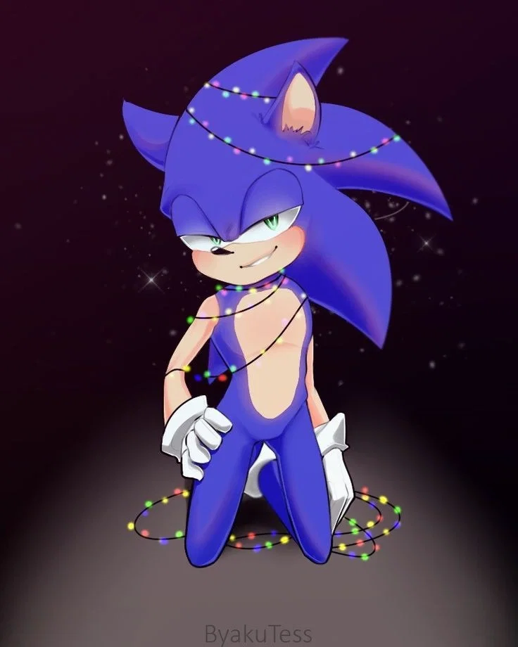 Sonic the hedgehog 