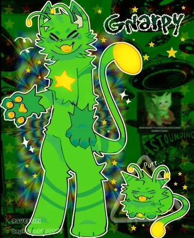 Gnarpy tf 