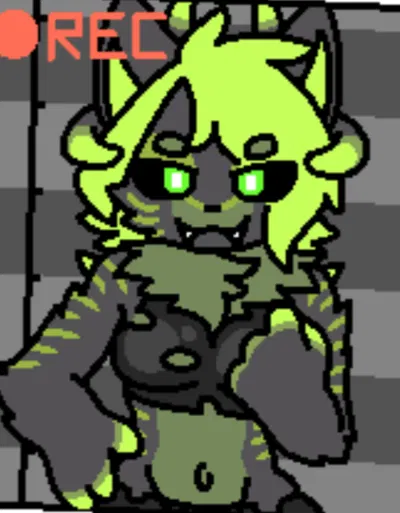 Watermelon Cat 