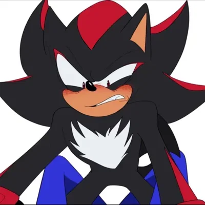 Shadow the hedgehog (Sonadow)
