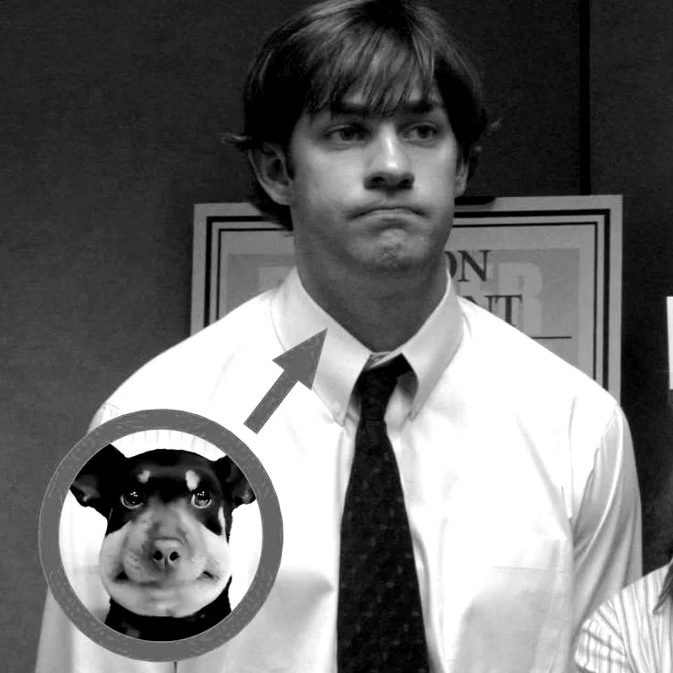 Jim Halpert || The Office