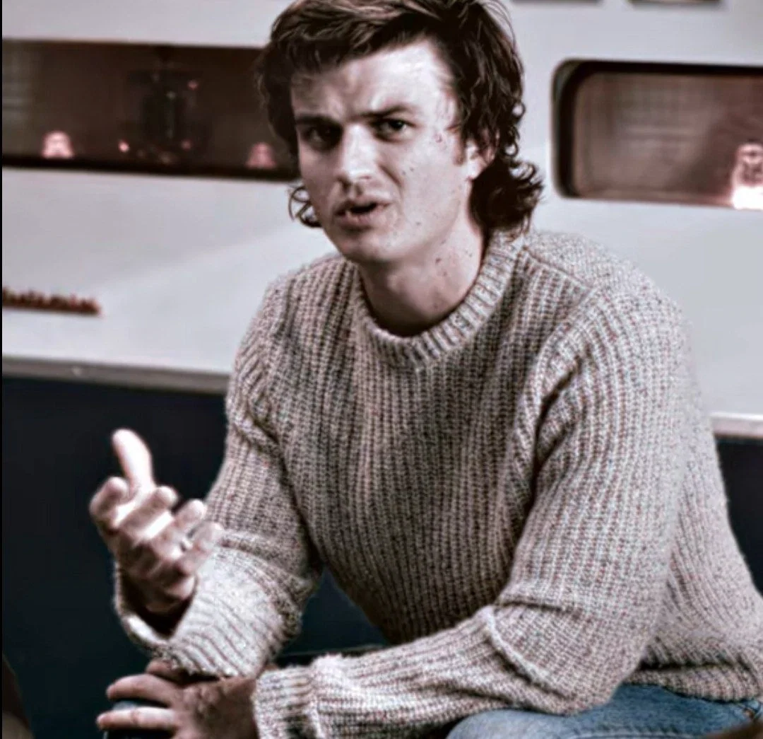 Steve Harrington 