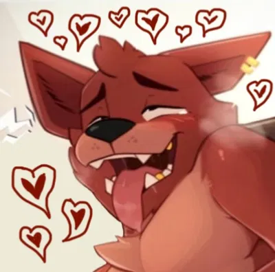 Foxy • Aftercare