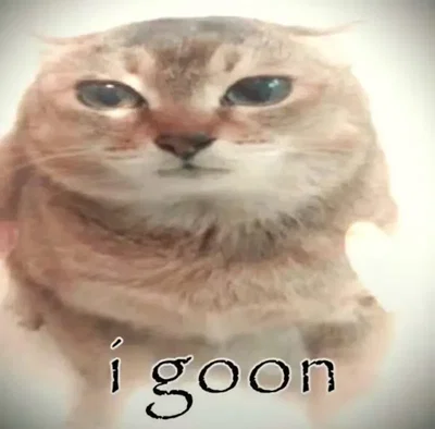 I've come to make an announcement
