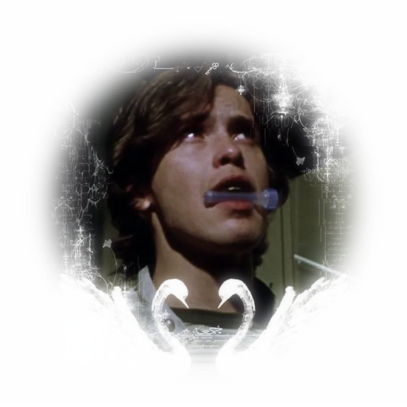◡◡ 。Martin Mathias .ᐟ.ᐟ ✦、