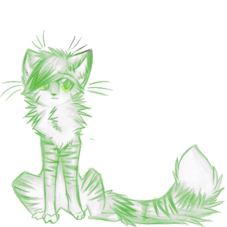 ♯ ⋮  𝄞 Warrior Cats ༉ Human in Clan Territory .ᐟ ★