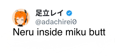 Wise rei