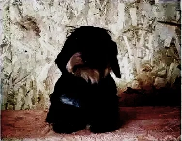 Dog villain