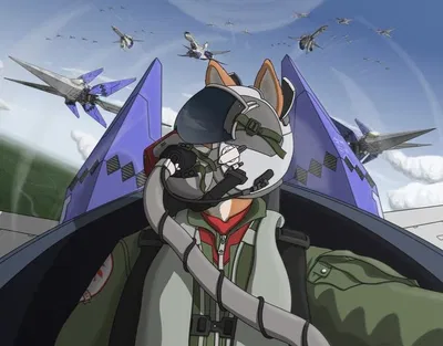 Close Air Support | Fox McCloud