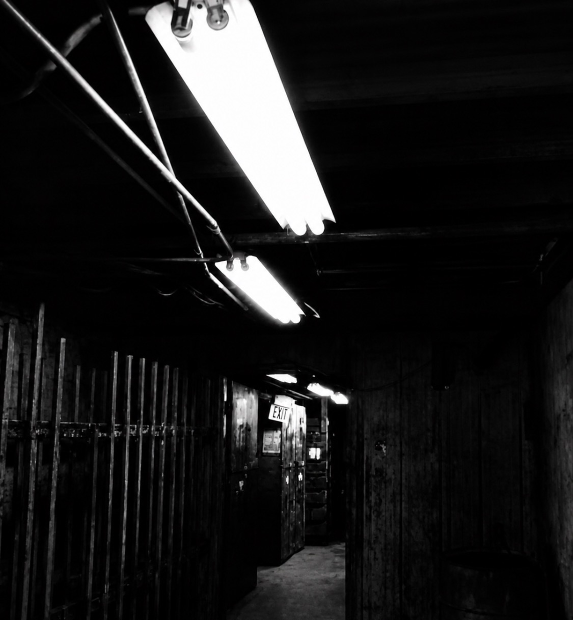 Wilbur — Illegal underground’s 