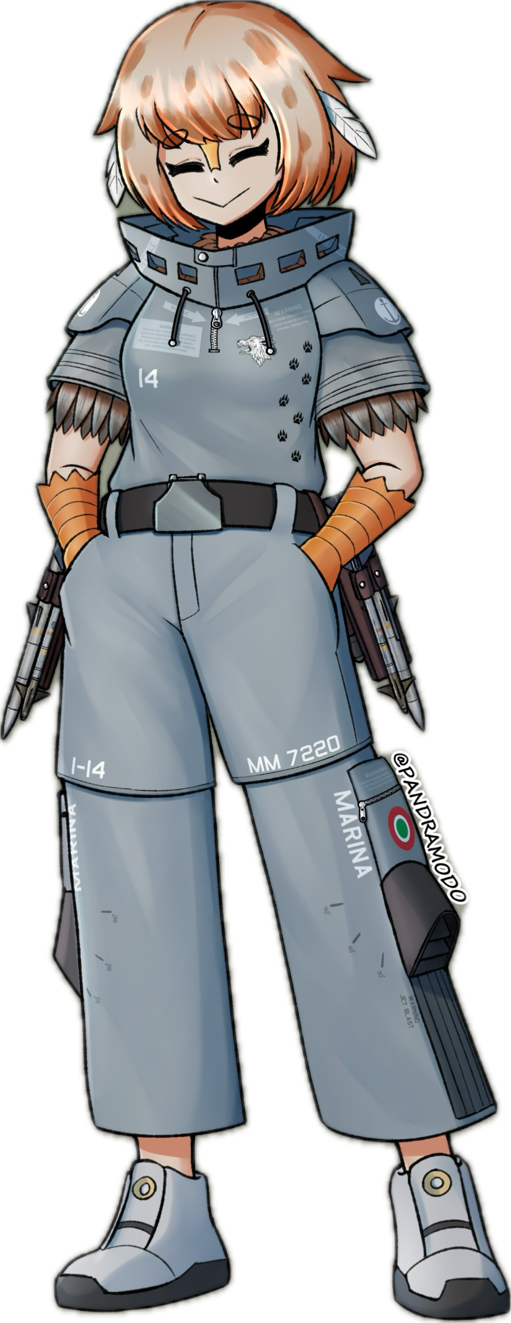 AV-8B ‘Harrier II+’